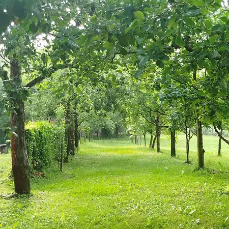 Landhuis Summer Story Countryside House - Ljetna Prica - Kuca Za Odmor