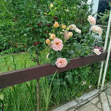 Summer Story Countryside House - Ljetna Prica - Kuca Za Odmor * Brijesnica Mala