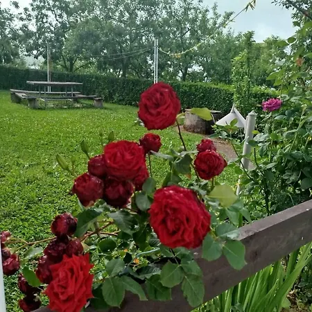 Summer Story Countryside House - Ljetna Prica - Kuca Za Odmor *